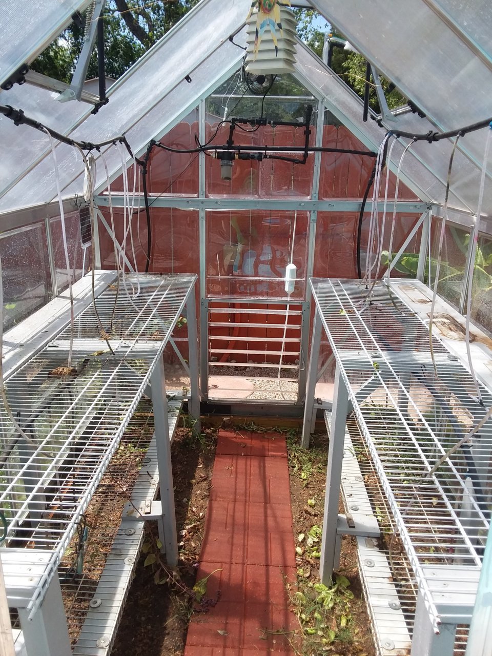 20200907_135308.jpg