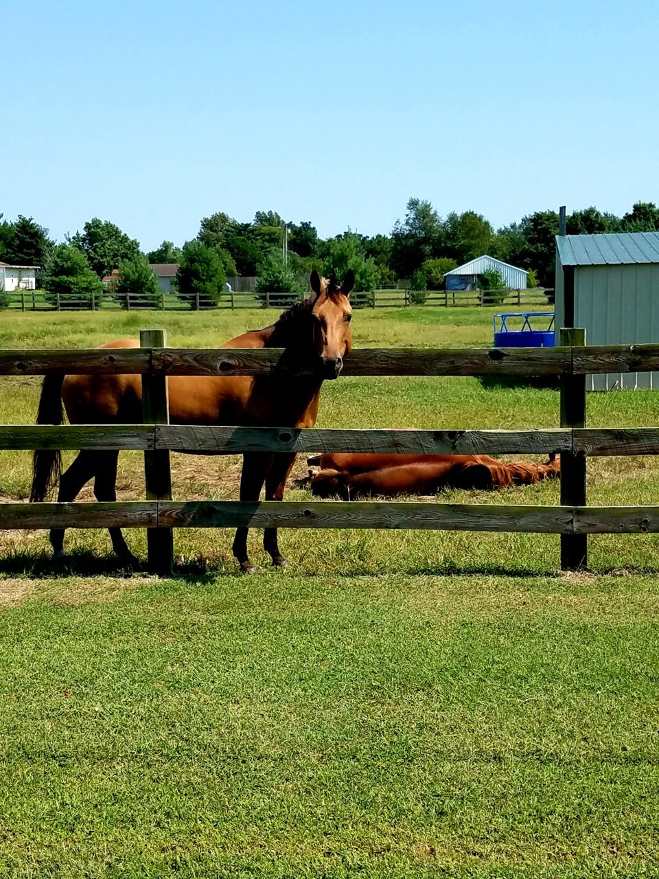 20200907_153526.jpg