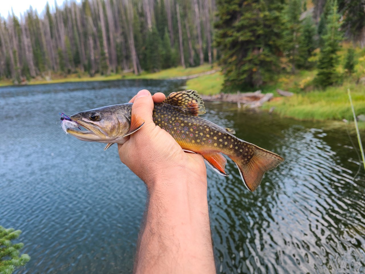 20200907_174107.jpg
