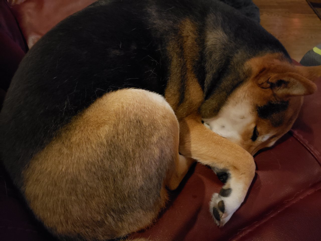20200907_224155.jpg