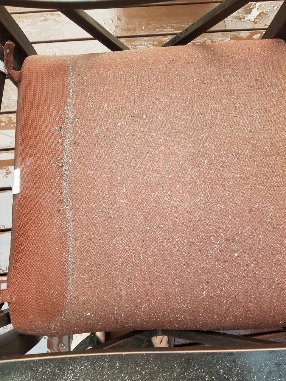 20200908_084540.jpg