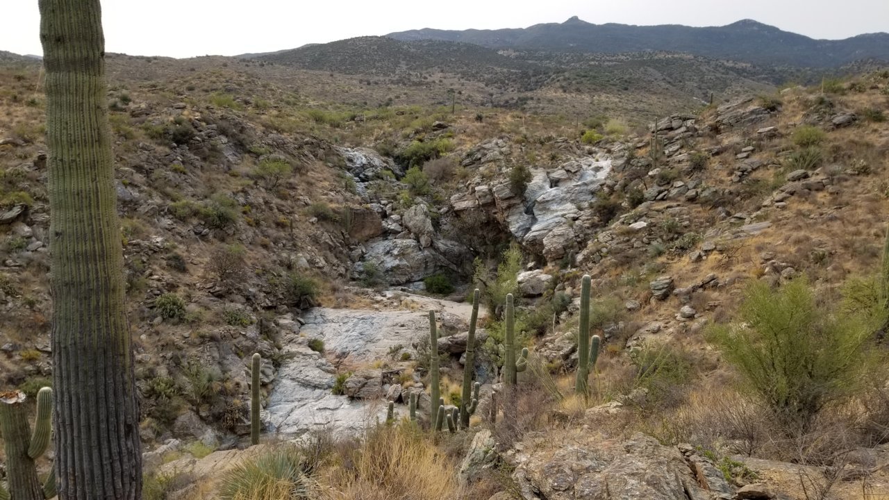 20200908_091425.jpg