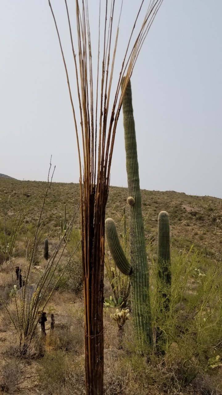 20200908_103924.jpg