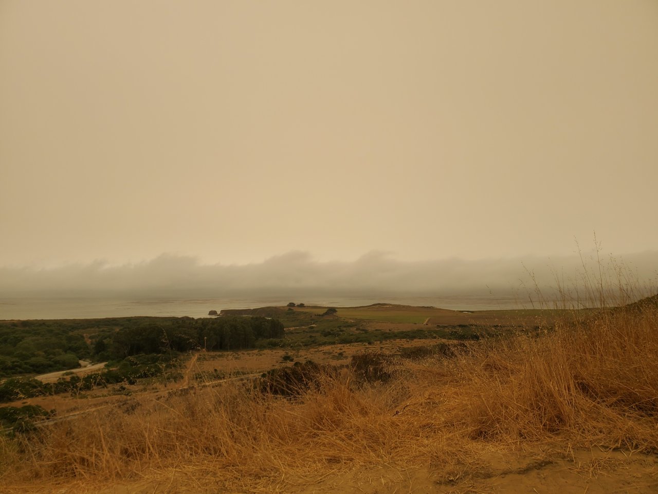 20200908_130146.jpg