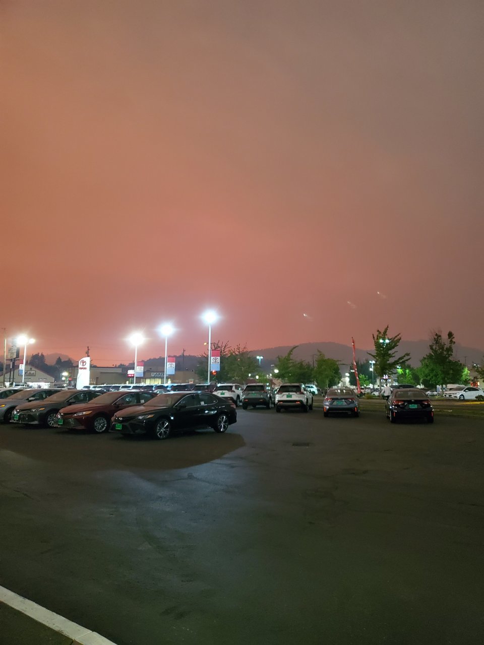 20200908_170208.jpg