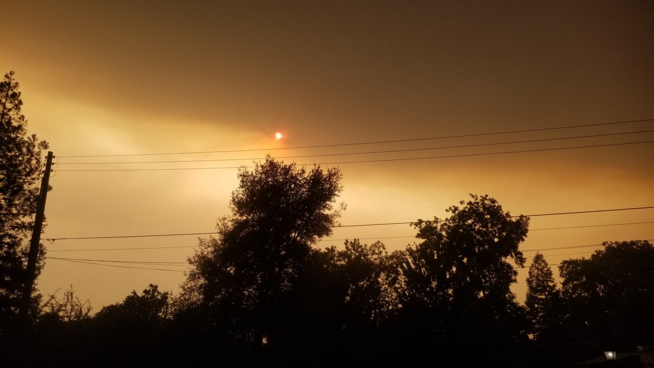 20200908_171245.jpg