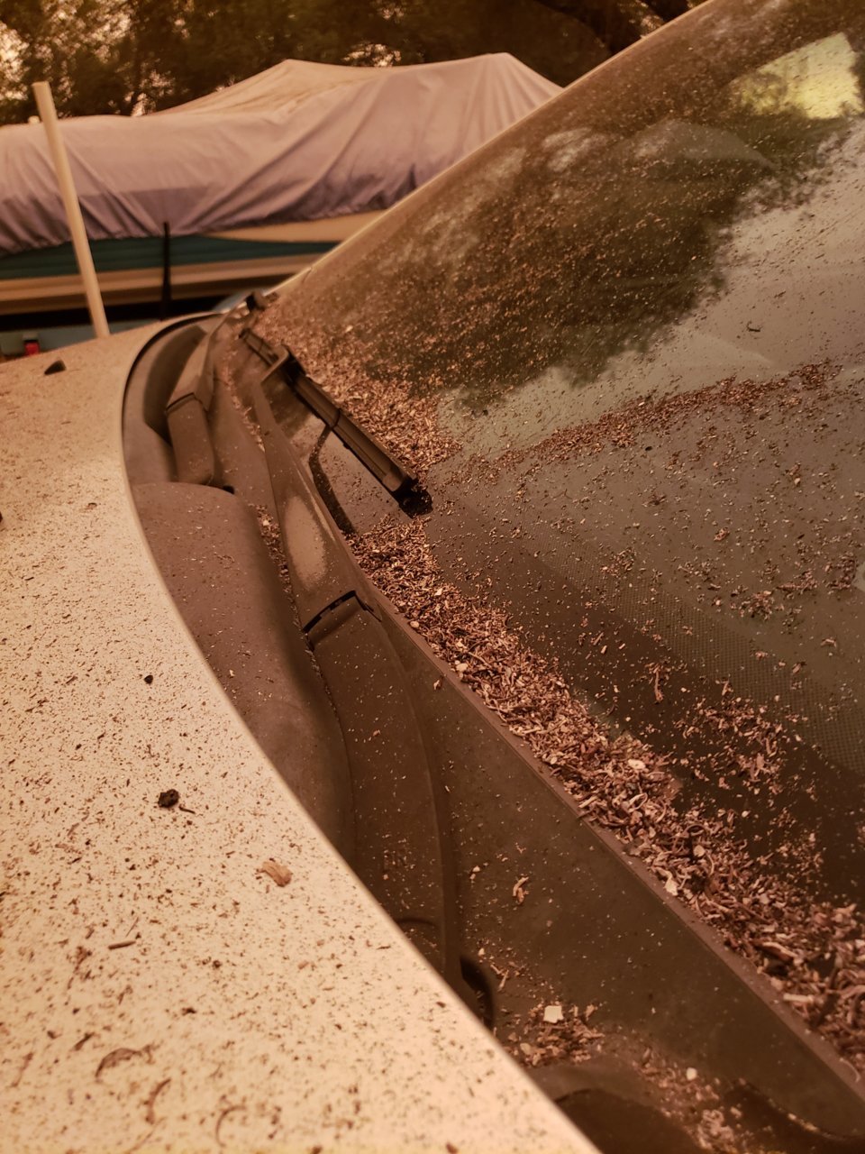 20200908_182230.jpg