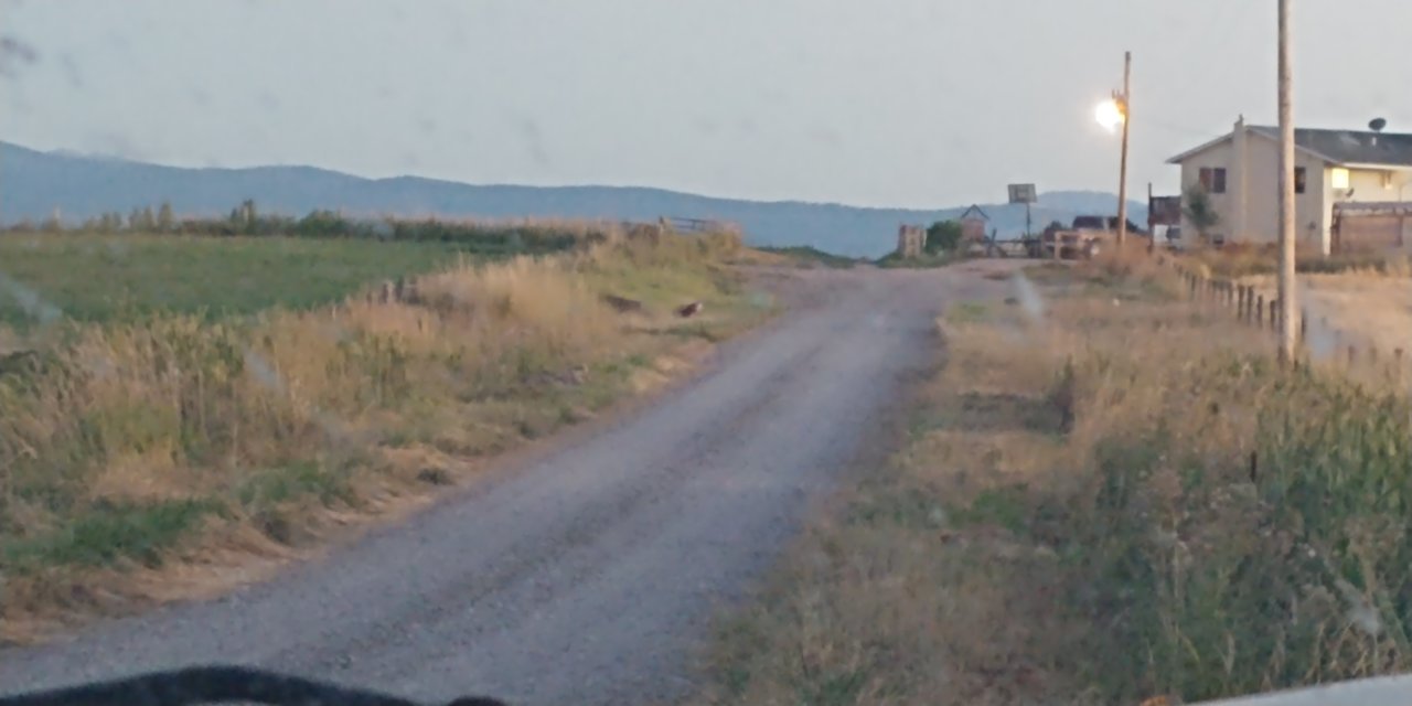 20200908_202413.jpg