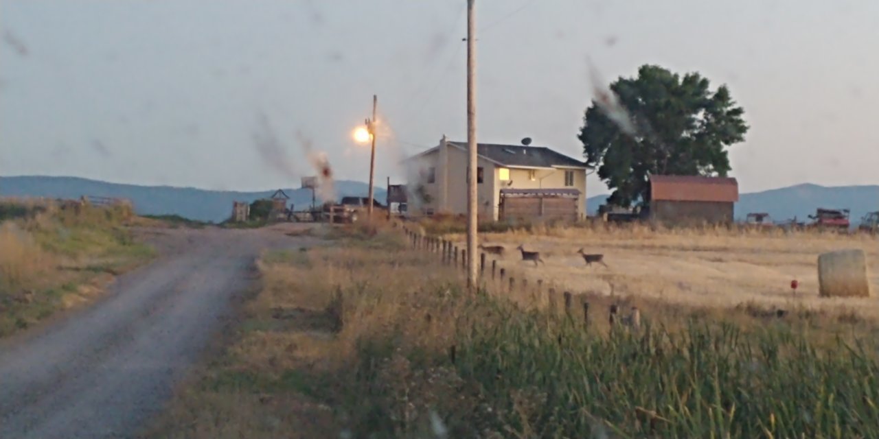 20200908_202434.jpg