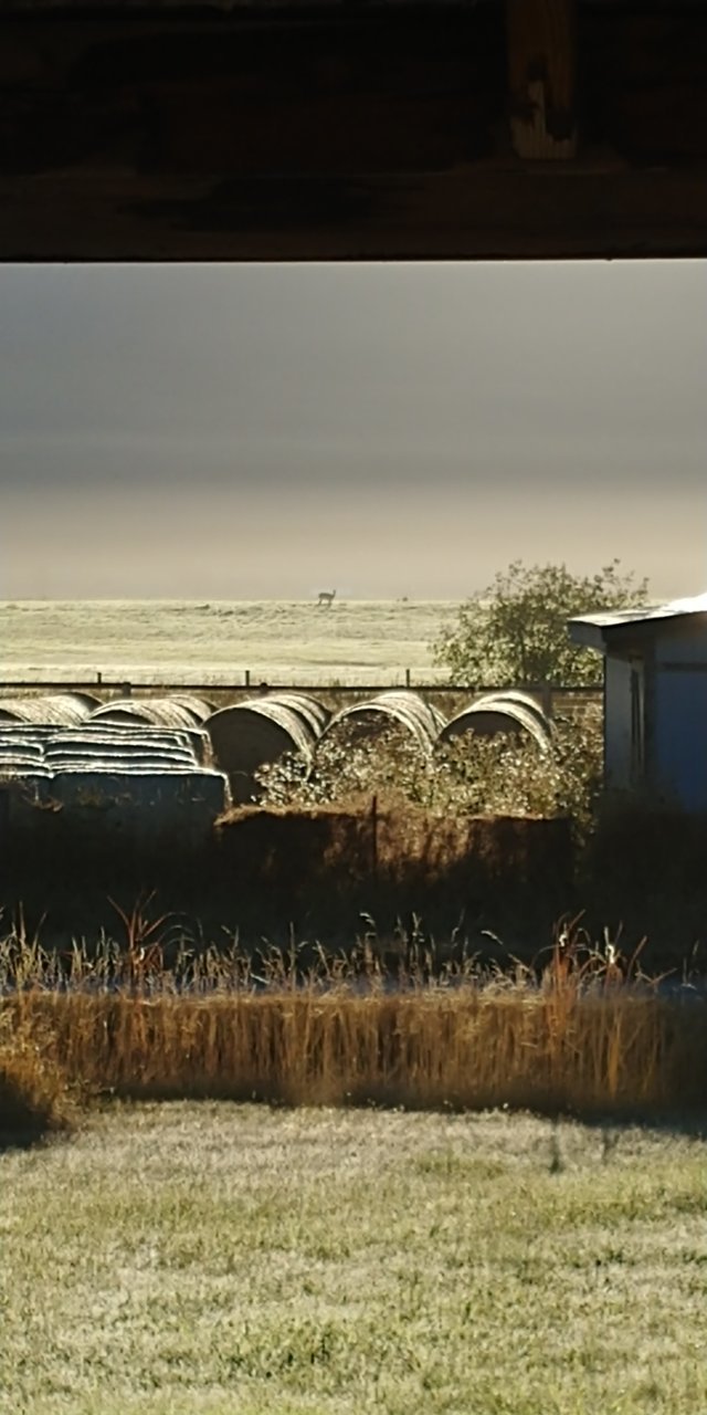 20200909_075653.jpg