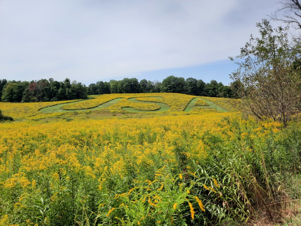 20200909_133656.jpg