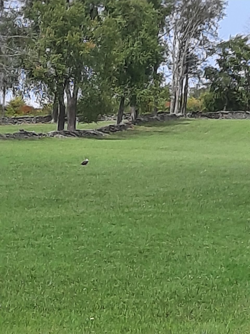 20200909_134303.jpg