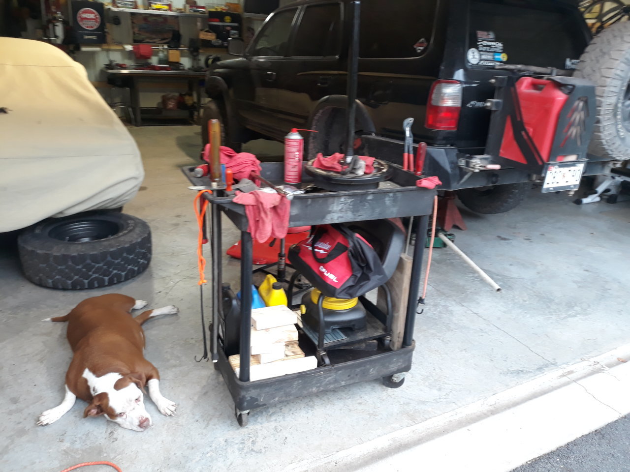 20200909_173535.jpg