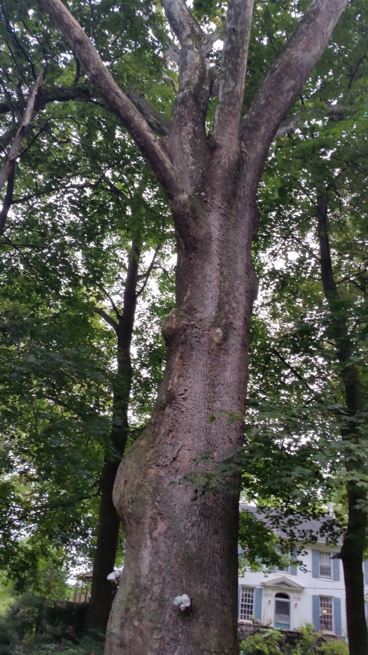 20200909_174812.jpg