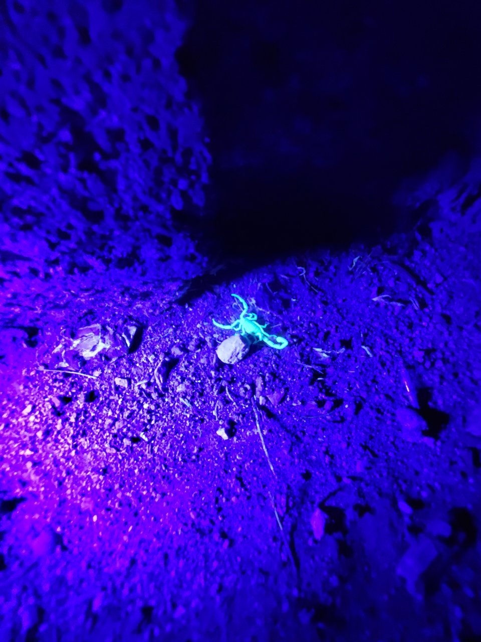 20200910_201200.jpg