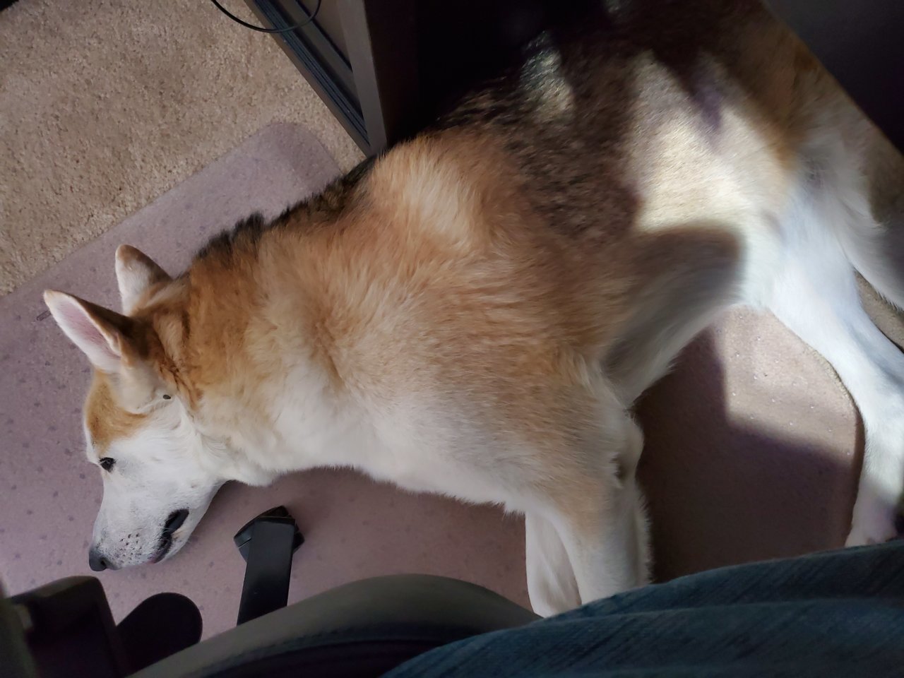 20200910_201554.jpg