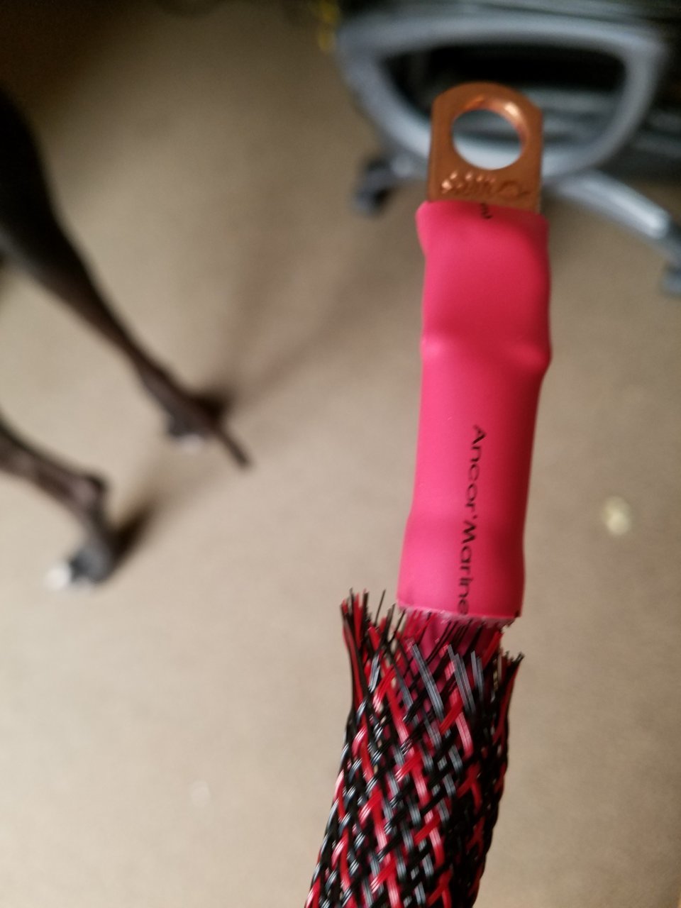 20200911_150208.jpg