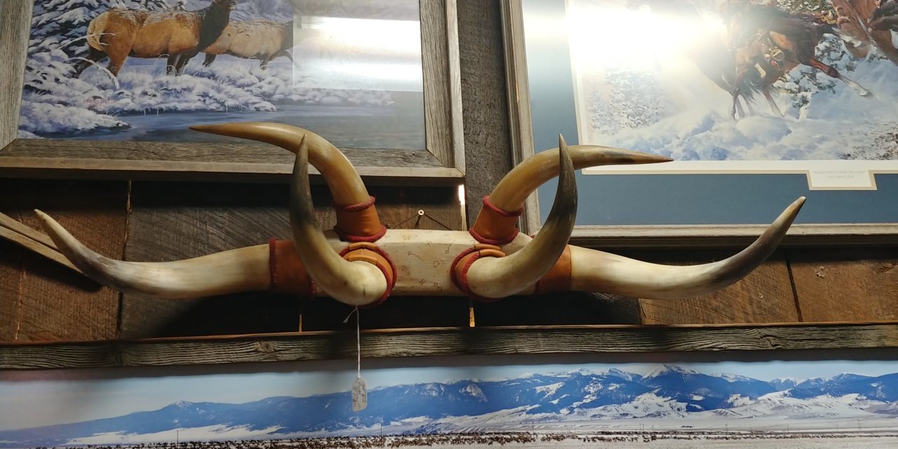 20200912_115458_HDR.jpg