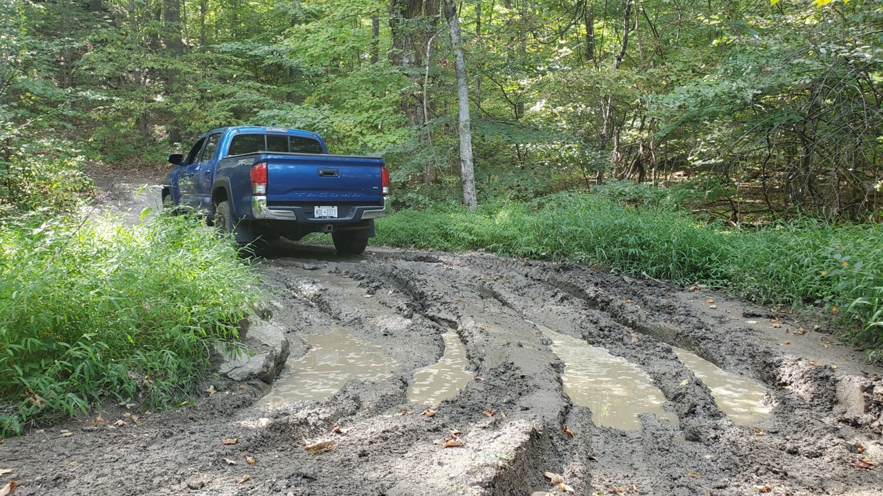 20200912_143625.jpg