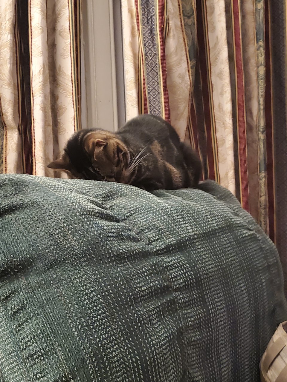 20200912_221705.jpg