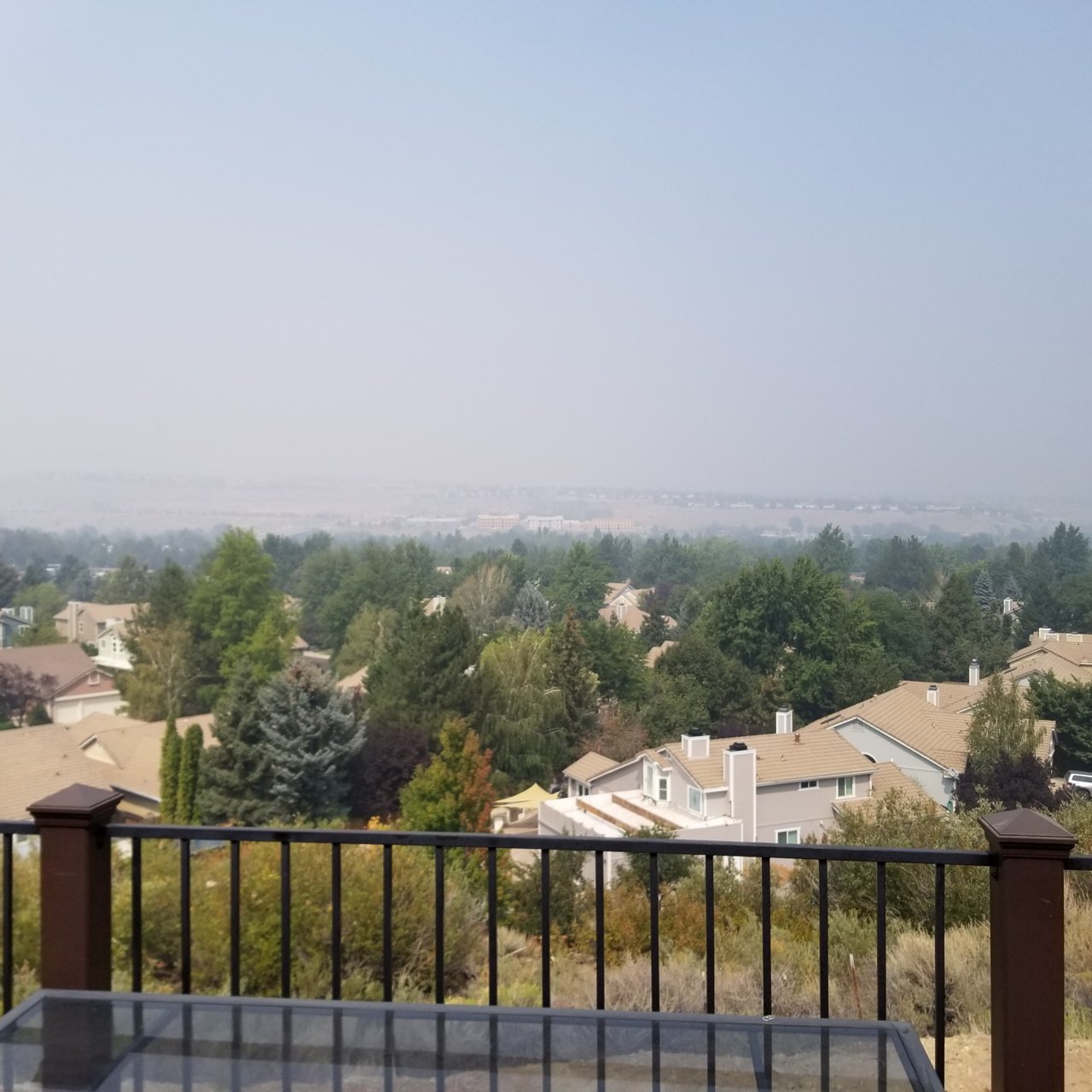 20200913_123333.jpg