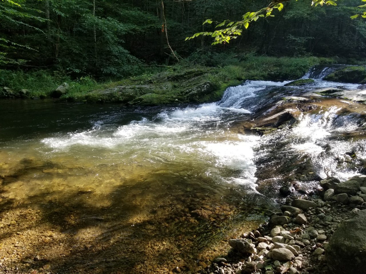 20200913_170425.jpg
