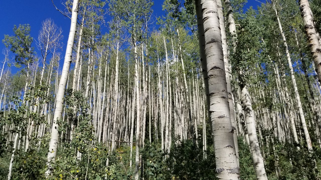 20200914_105034.jpg