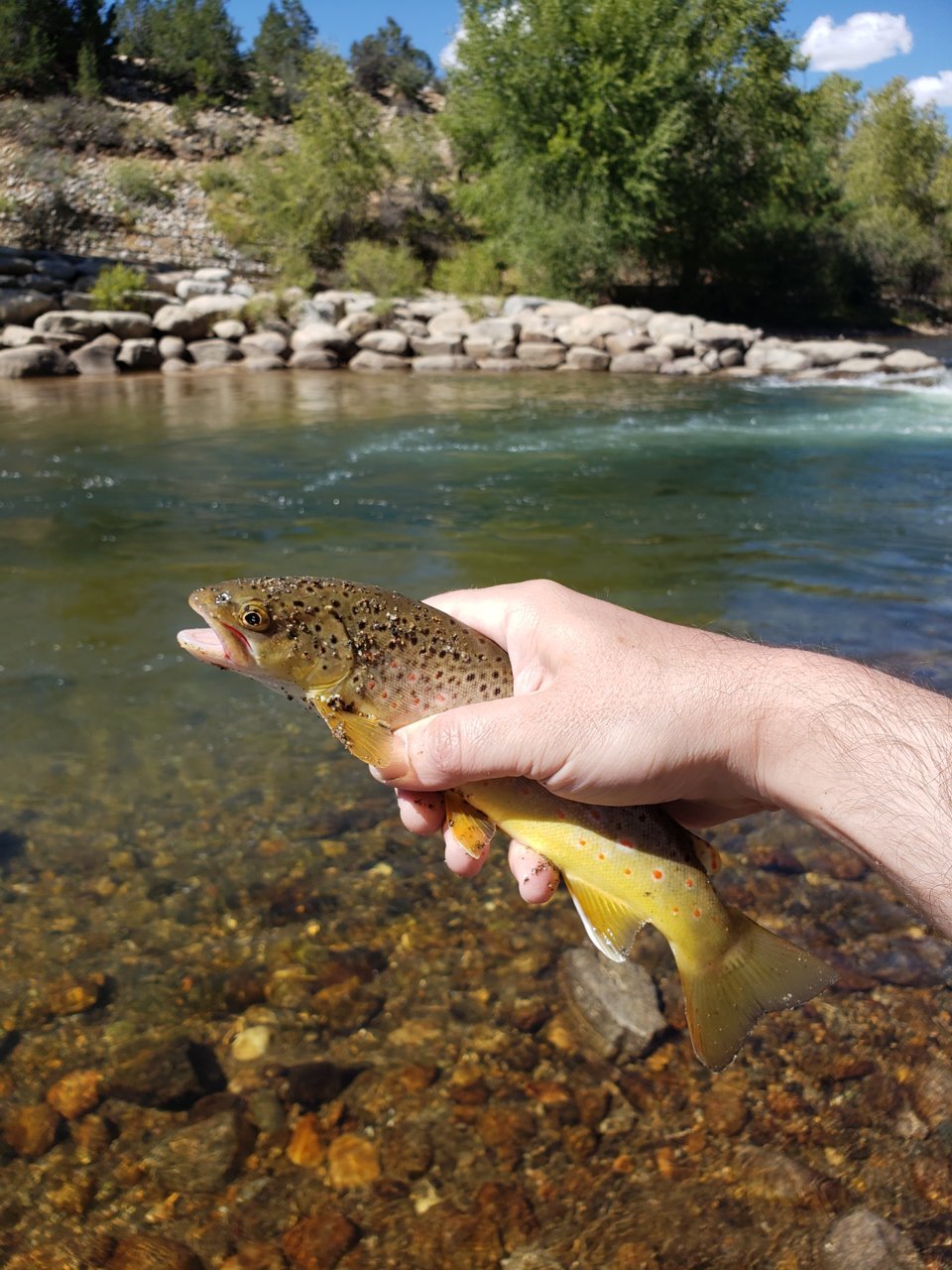 20200914_113357.jpg