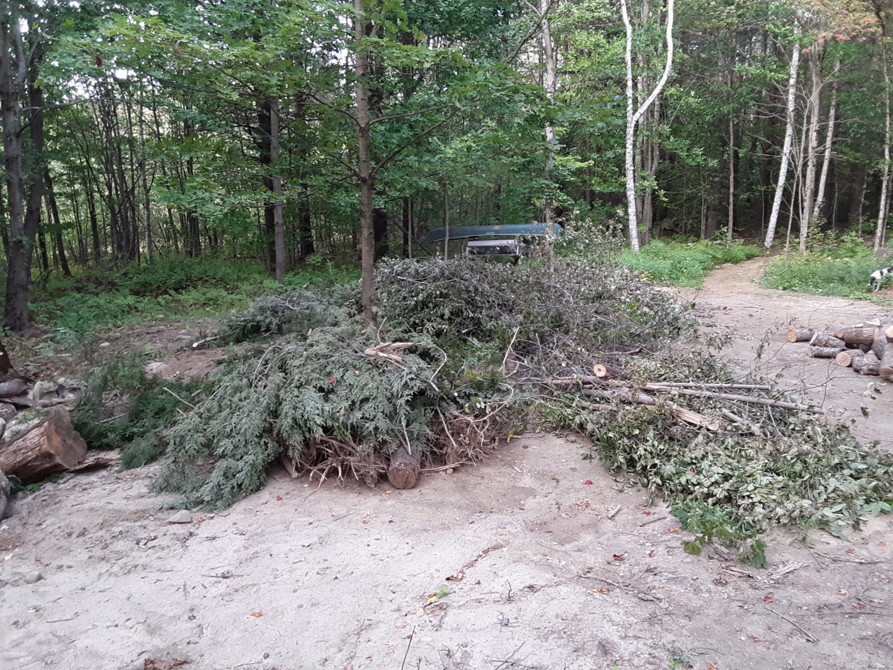 20200914_174644.jpg