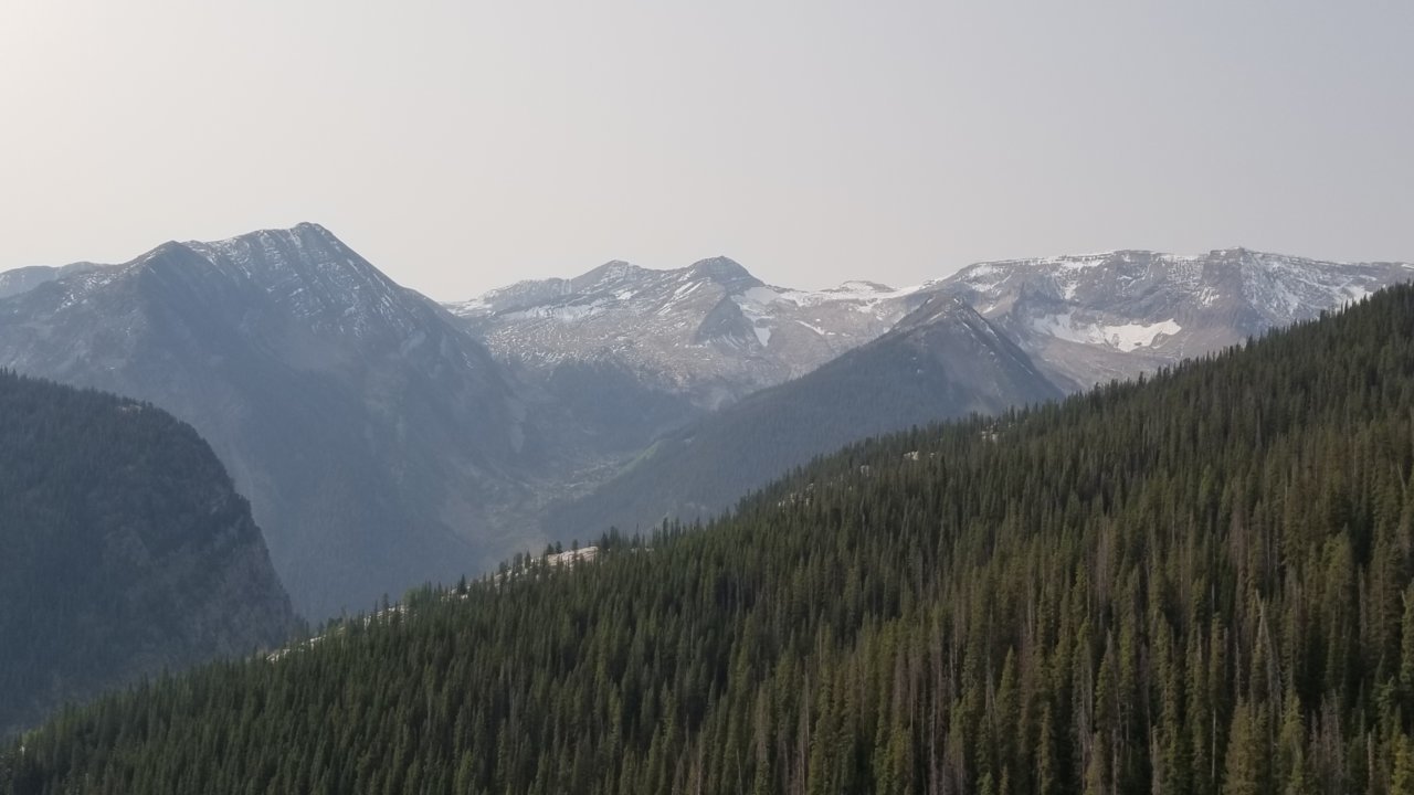 20200916_095823.jpg