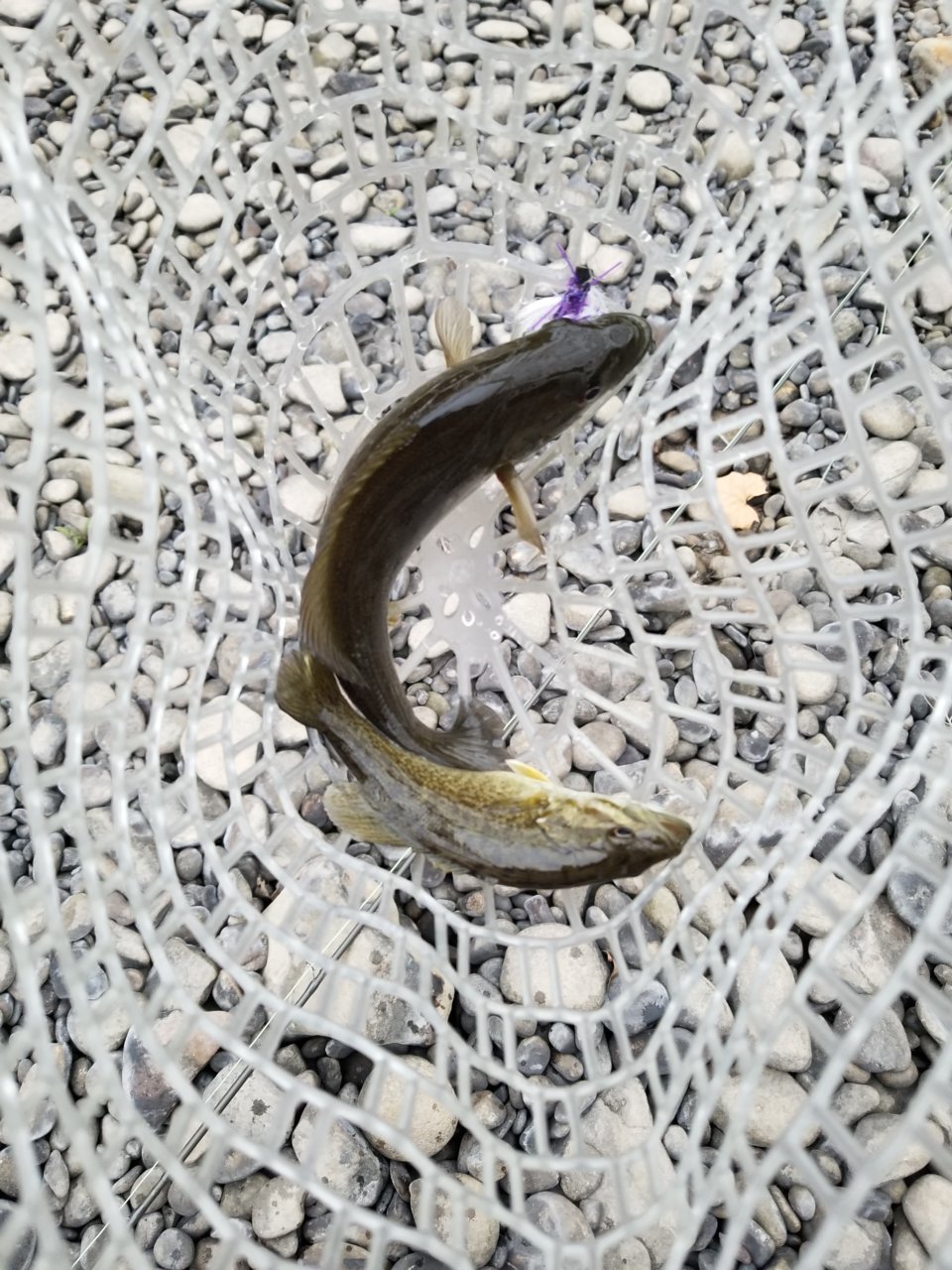 20200917_182315.jpg