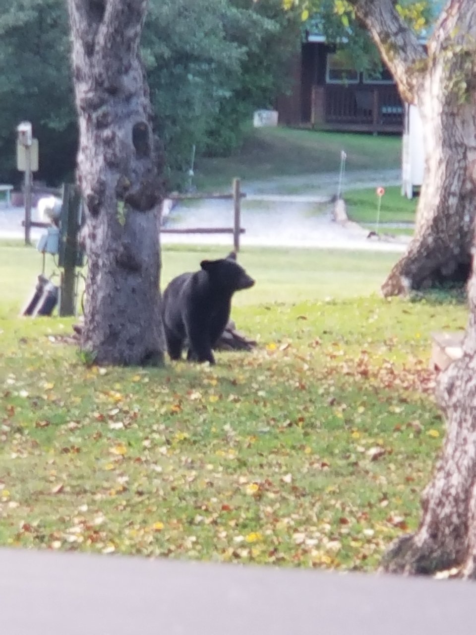 20200918_081202.jpg