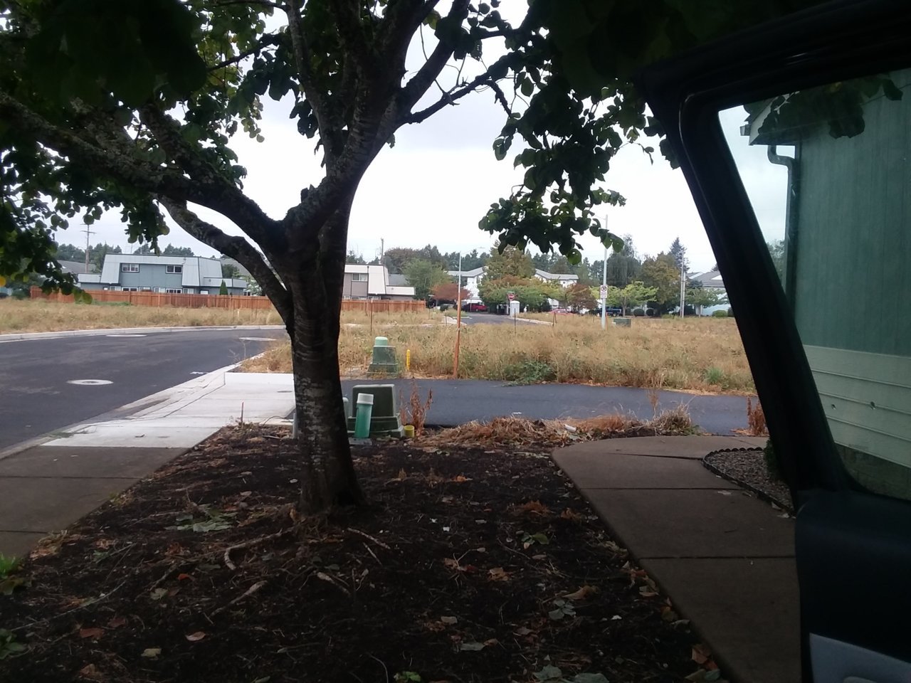 20200918_104415.jpg