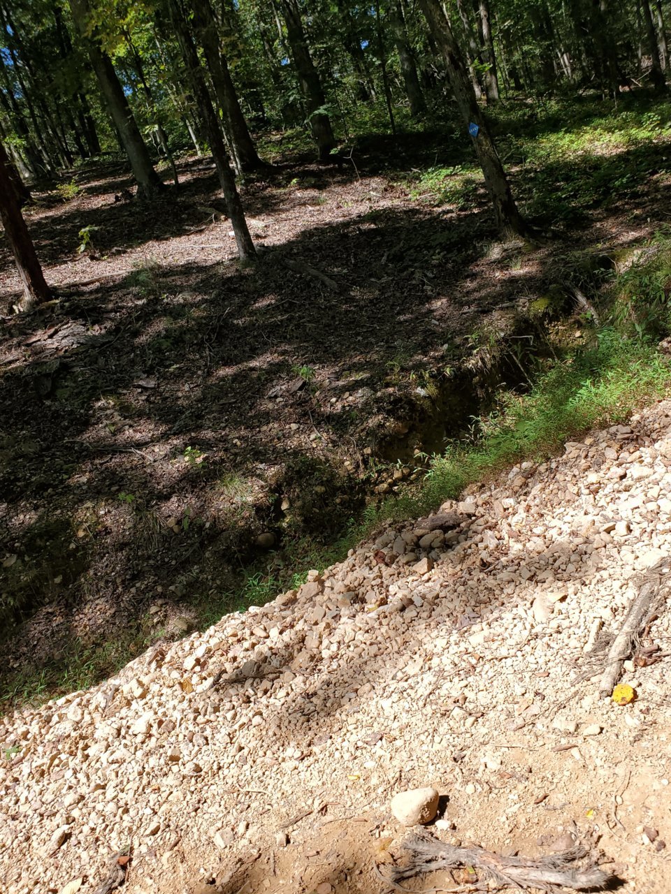 20200919_120920.jpg