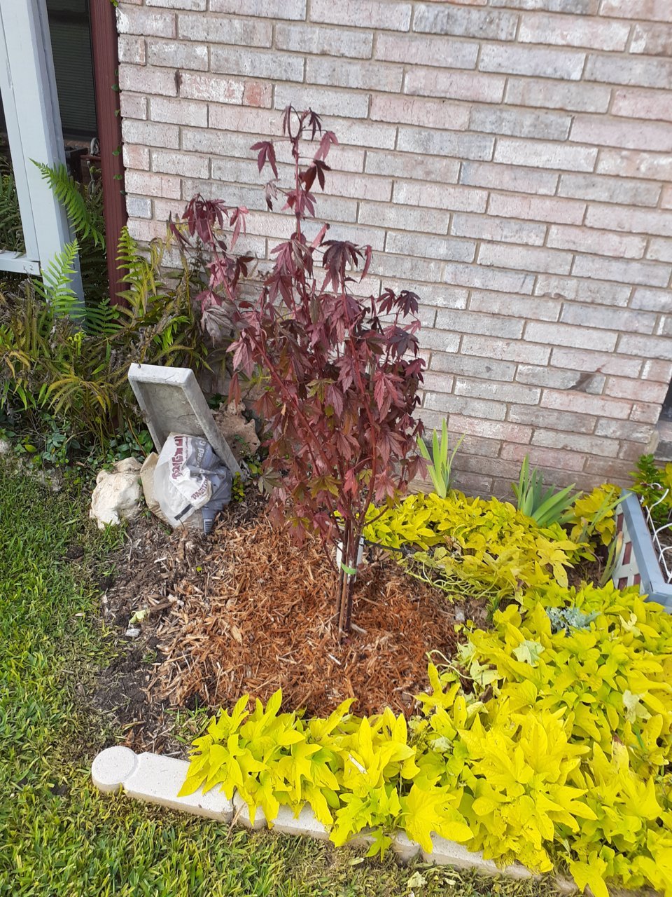 20200919_175815.jpg