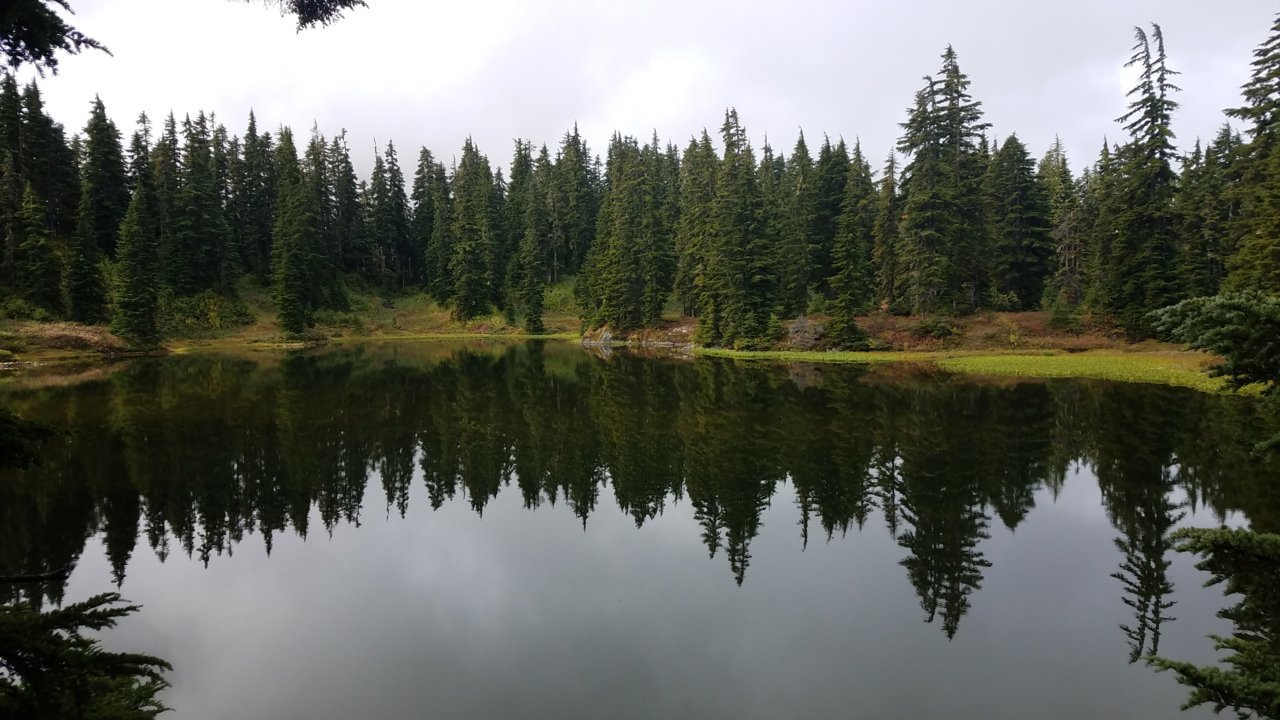 20200920_104350.jpg