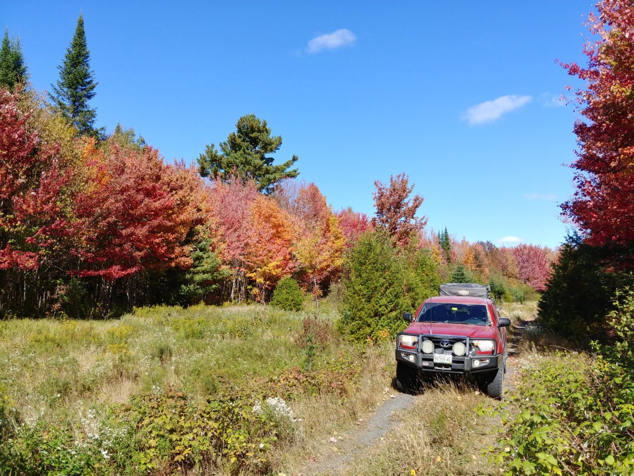 20200920_111438_HDR.jpg