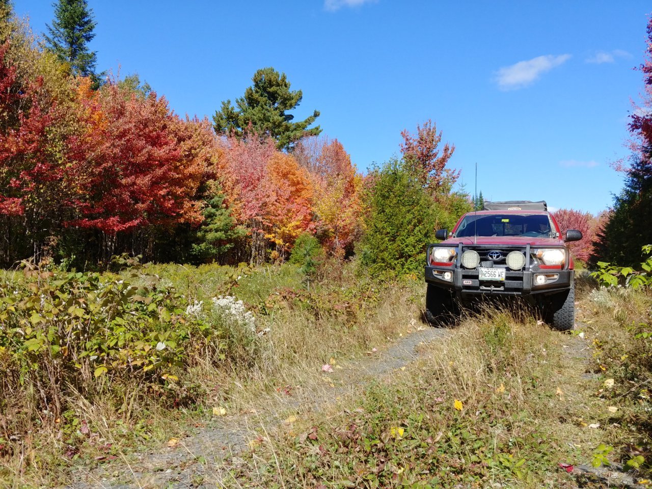 20200920_111451_HDR.jpg