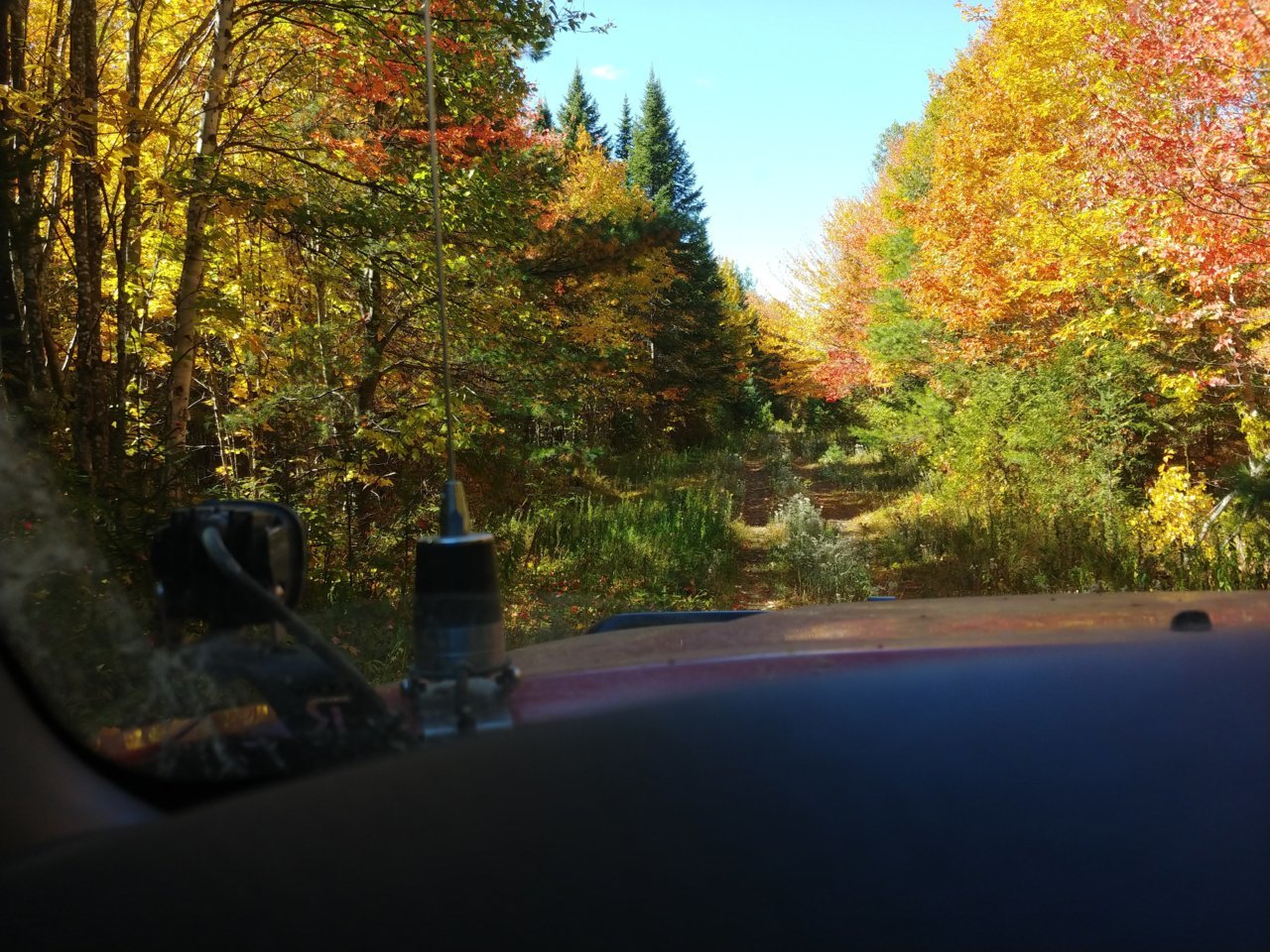 20200920_120310_HDR.jpg