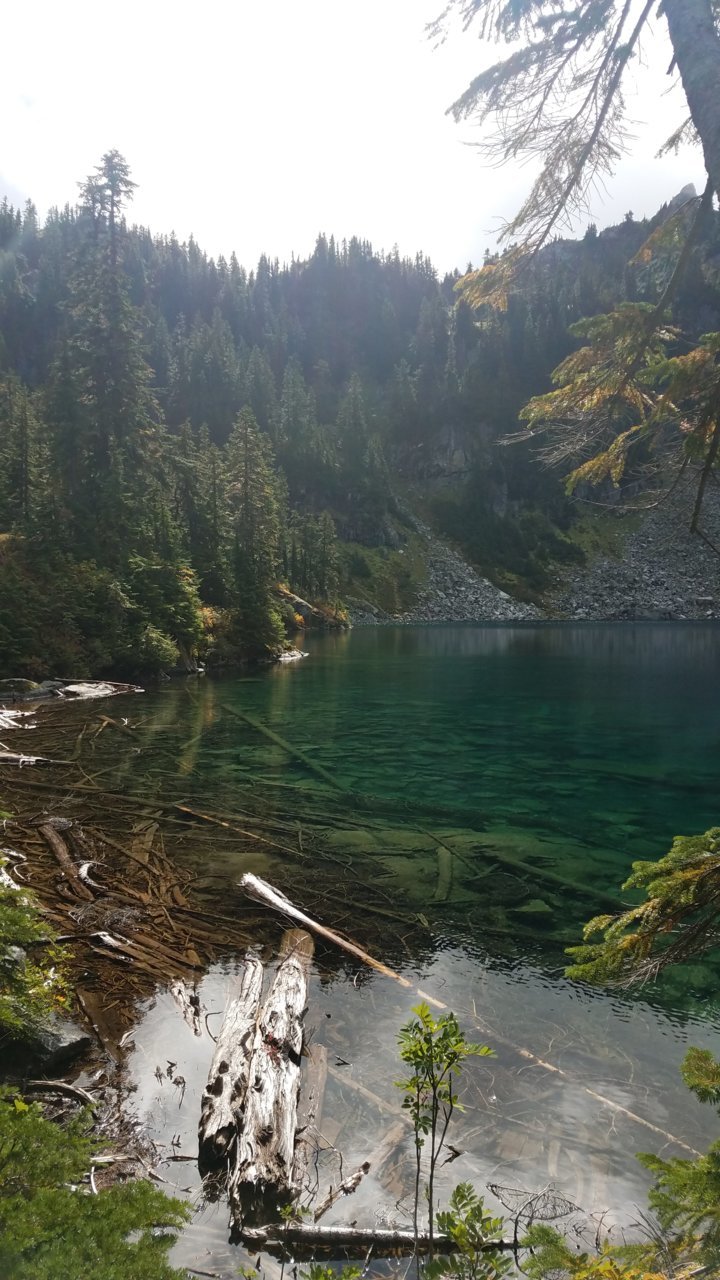 20200920_123321.jpg