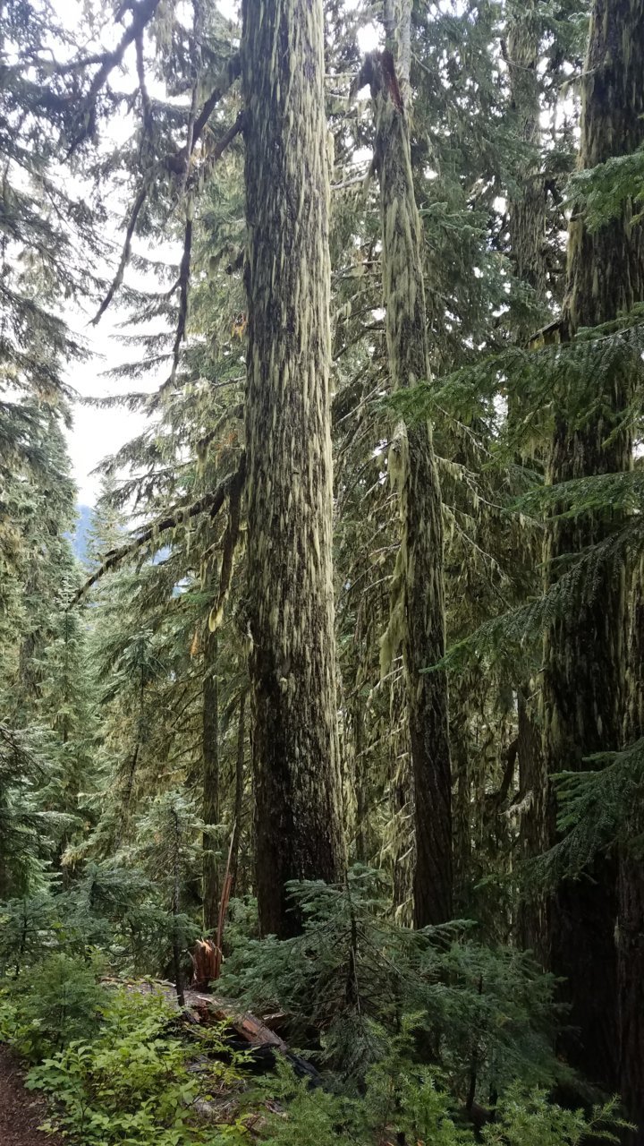 20200920_132513.jpg