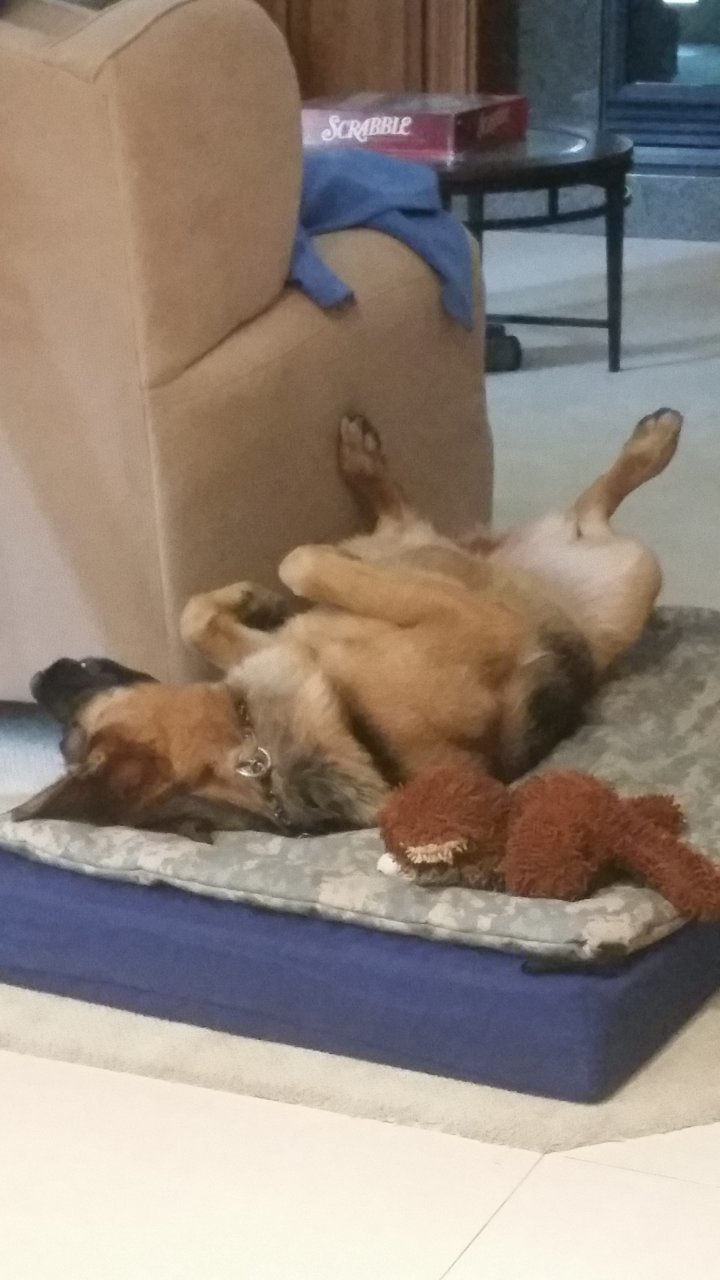 20200921_121425.jpg