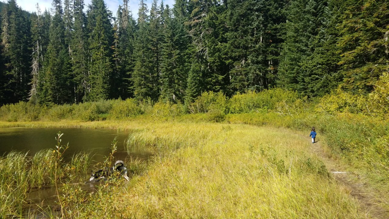20200921_135745.jpg