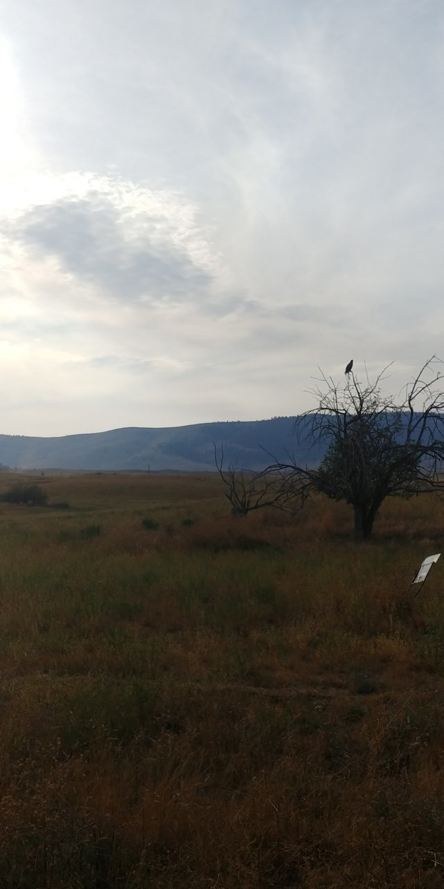 20200921_173236_HDR.jpg