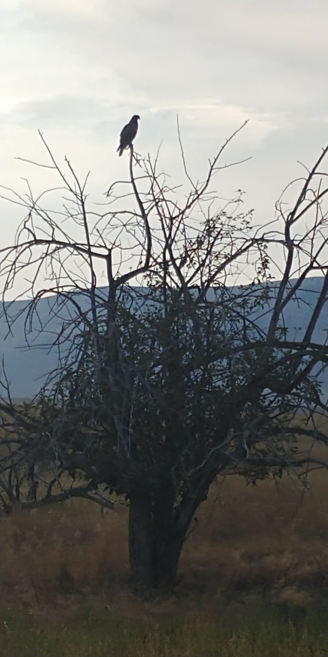 20200921_173242.jpg