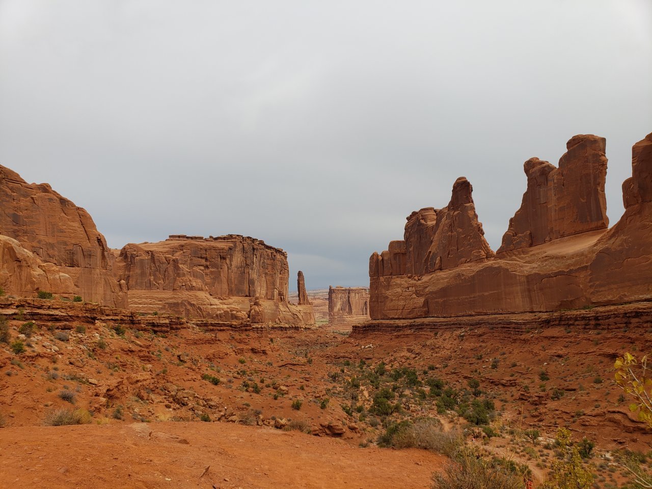 20200922_102030.jpg