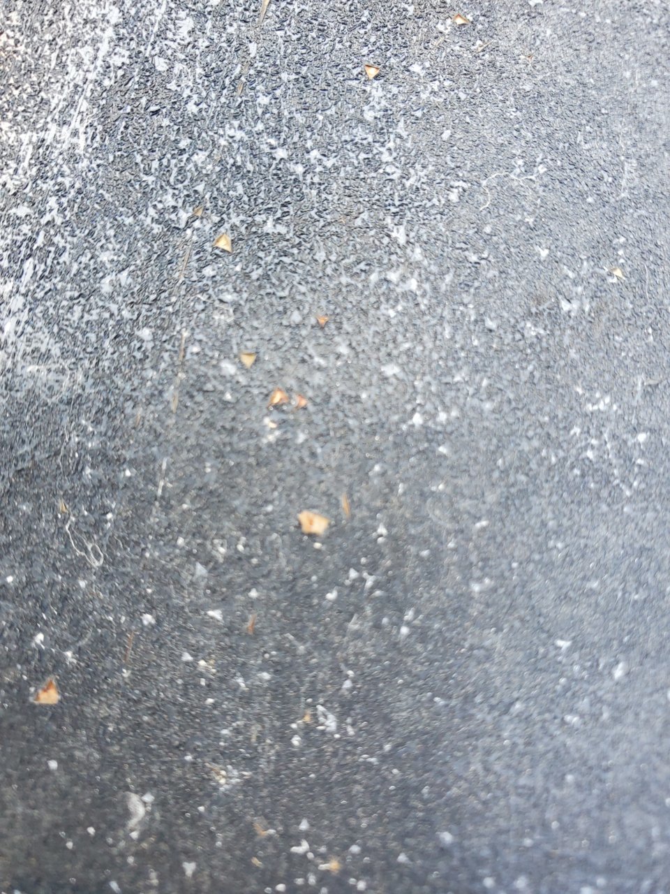 20200922_142720.jpg