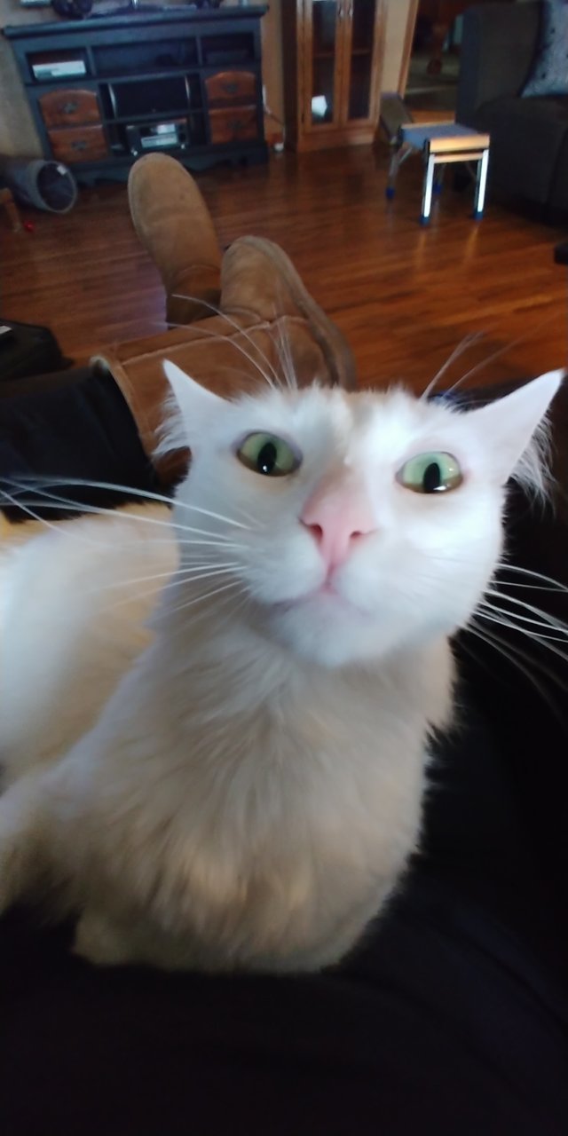 20200923_182313.jpg