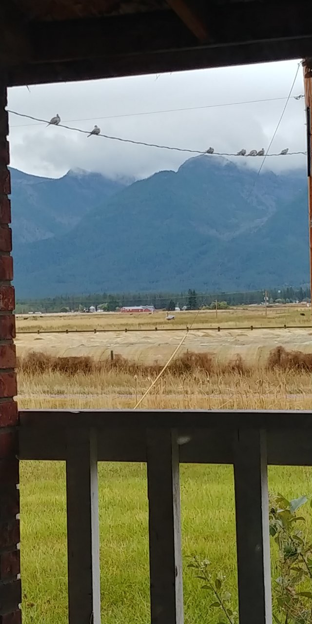 20200924_093631_HDR.jpg