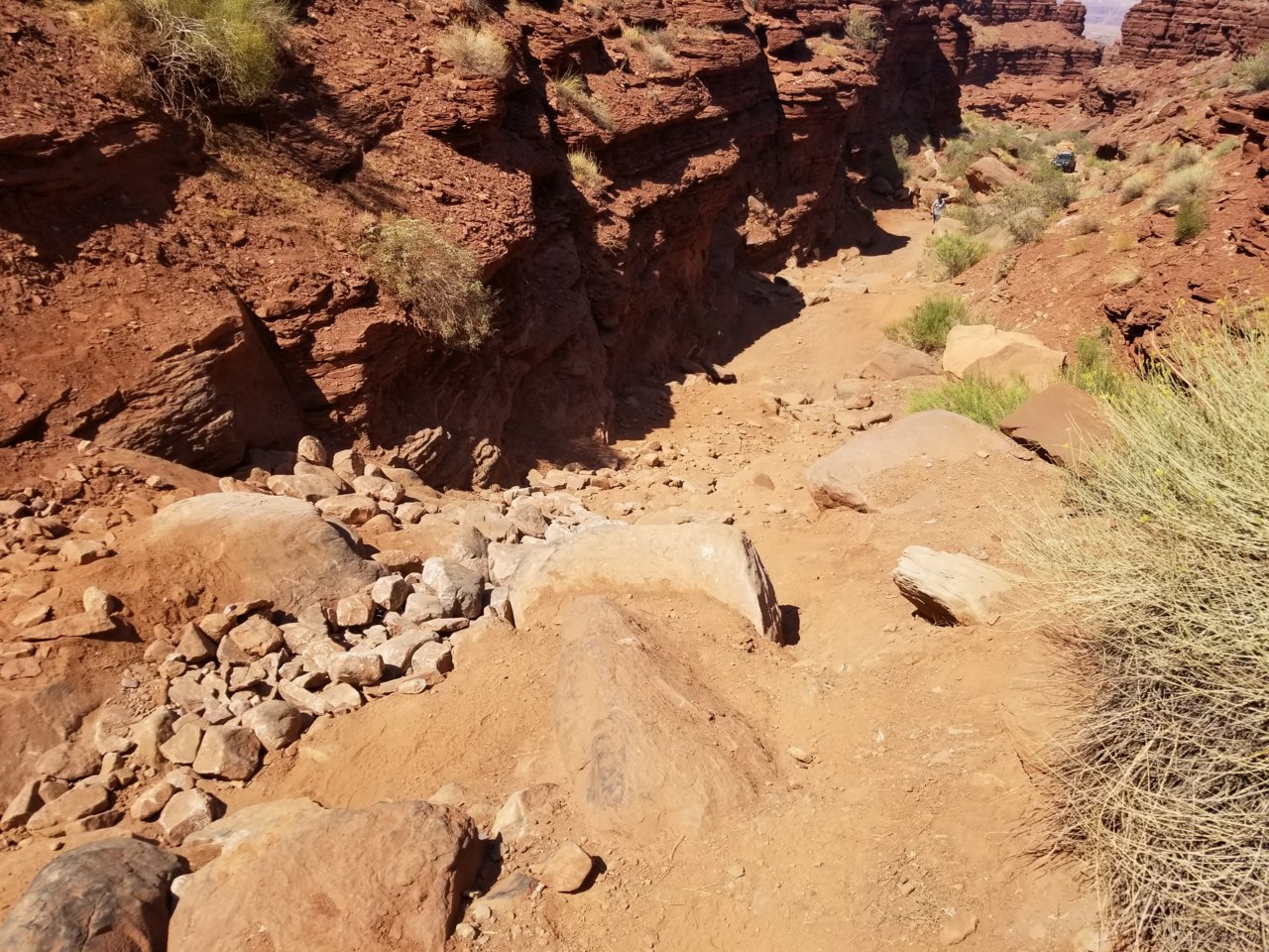 20200924_130416.jpg